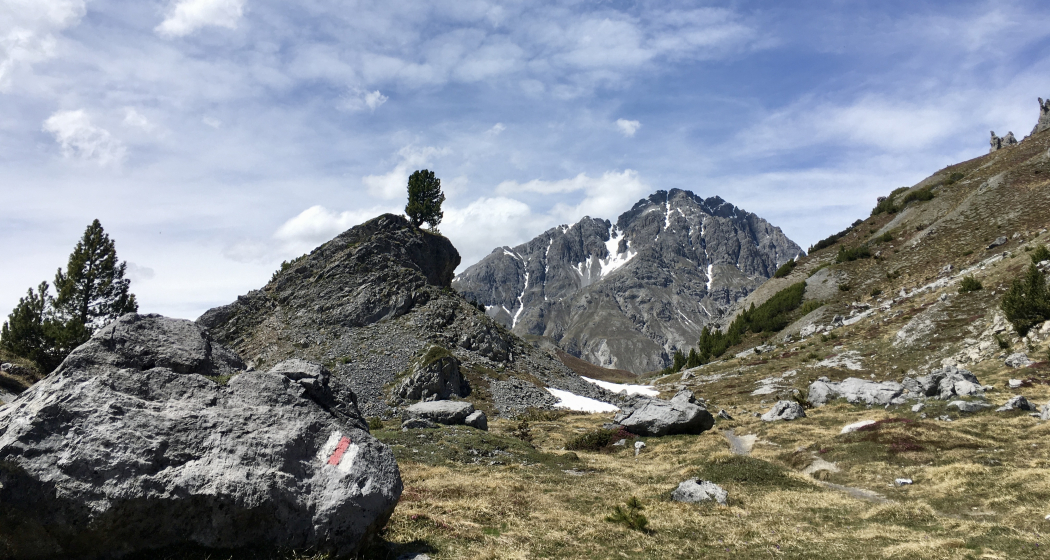 Vom Ofenpass in Richtung Chaschlot mit Blick auf den Nationalpark Vom Ofenpass in Richtung Chaschlot mit Blick auf den Nationalpark