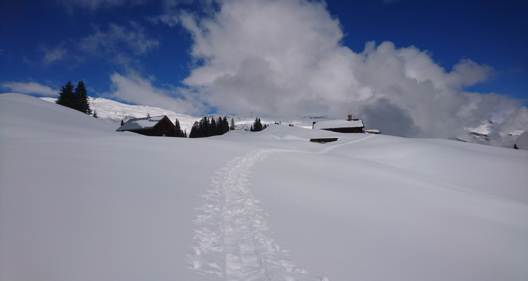 Signalisierter Schneeschuh-Trail: Ladir (oua_79534374_image) Signalisierter Schneeschuh-Trail: Ladir (oua_79534374_image)