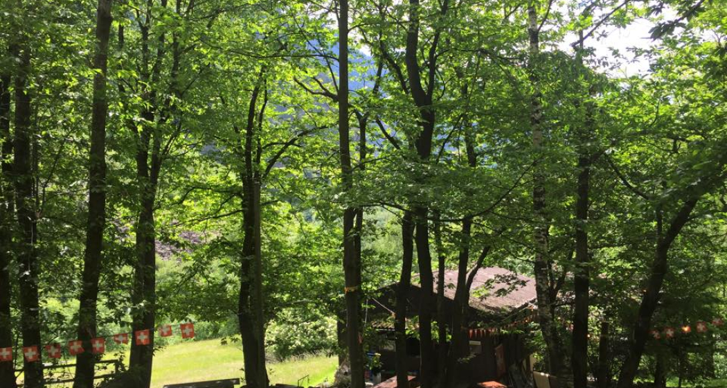 Grotto Verbi (oua_88453591_image) Grotto Verbi (oua_88453591_image)