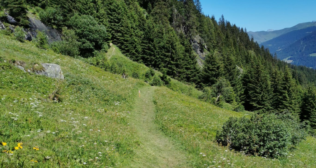 Wanderweg von der Puntegliashütte nach Brigels Wanderweg von der Puntegliashütte nach Brigels