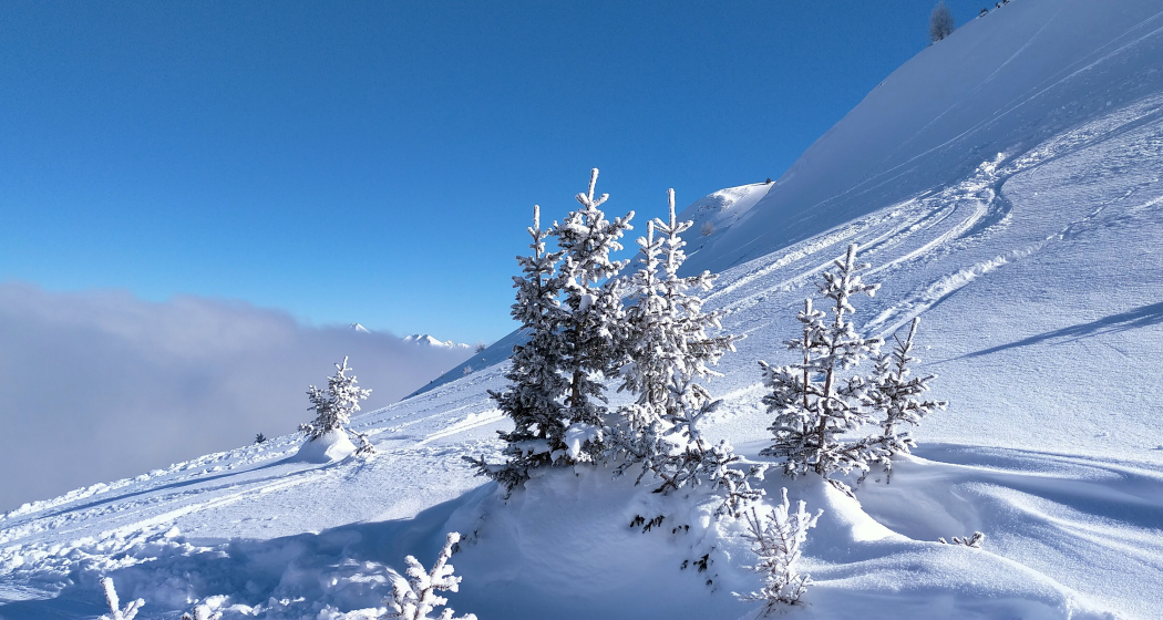 Zwischen Dutjer Alp und Alp da Riein Zwischen Dutjer Alp und Alp da Riein