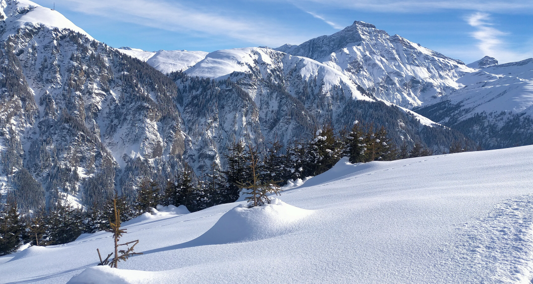 Zwischen Dutjer Alp und Alp da Riein Zwischen Dutjer Alp und Alp da Riein