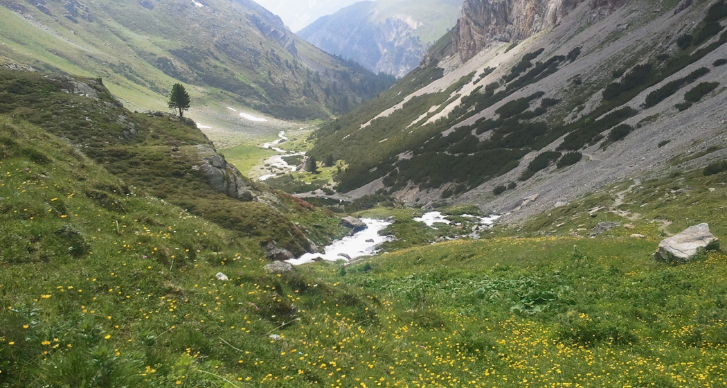 Uinaschlucht Uinaschlucht