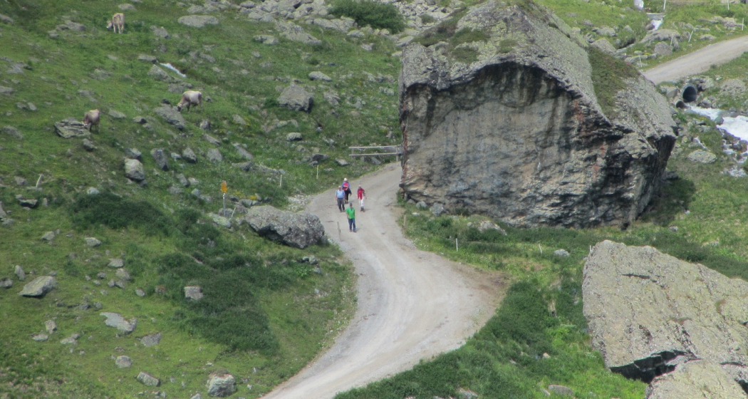 Alp Bella Alp Bella