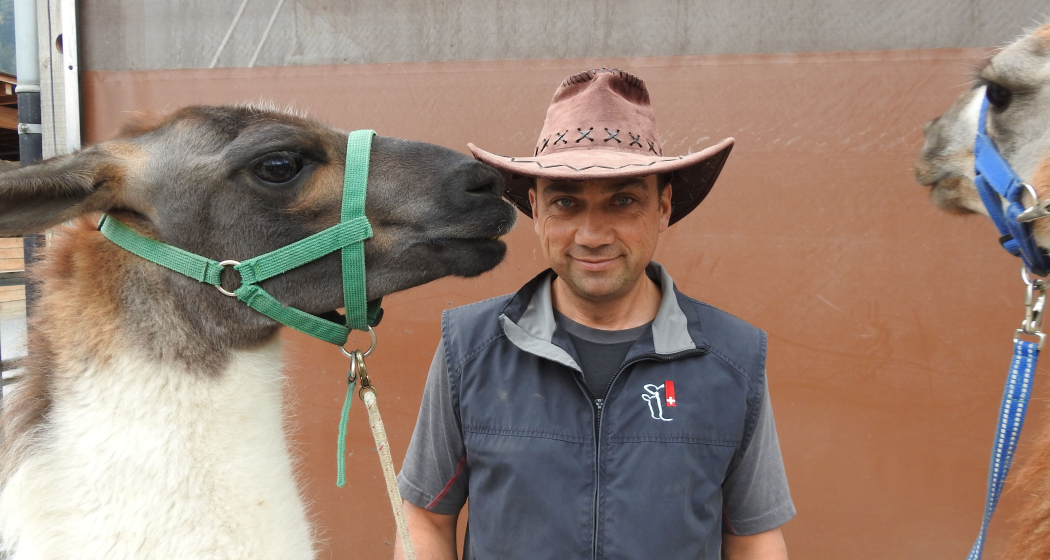Die Lamas von Isidor Sepp Die Lamas von Isidor Sepp