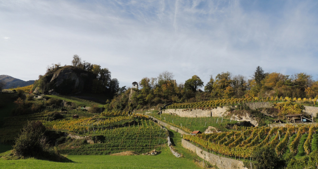 Weingut Portaser (ctd_0f36d541-e2ba-48ab-8973-cc364ad55a3a_image) Weingut Portaser (ctd_0f36d541-e2ba-48ab-8973-cc364ad55a3a_image)