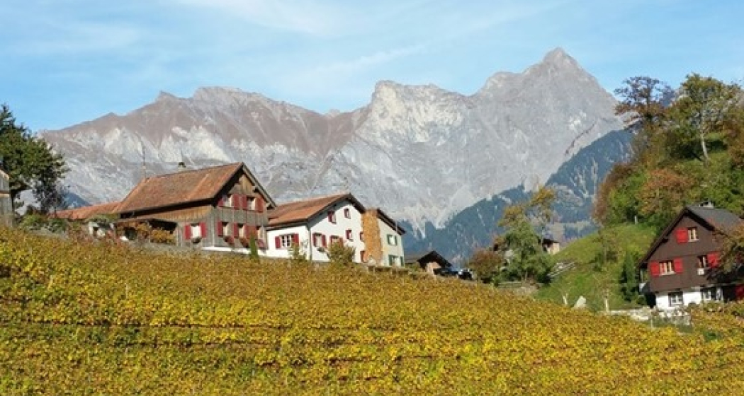 Weingut Portaser (ctd_0f36d541-e2ba-48ab-8973-cc364ad55a3a_img01) Weingut Portaser (ctd_0f36d541-e2ba-48ab-8973-cc364ad55a3a_img01)