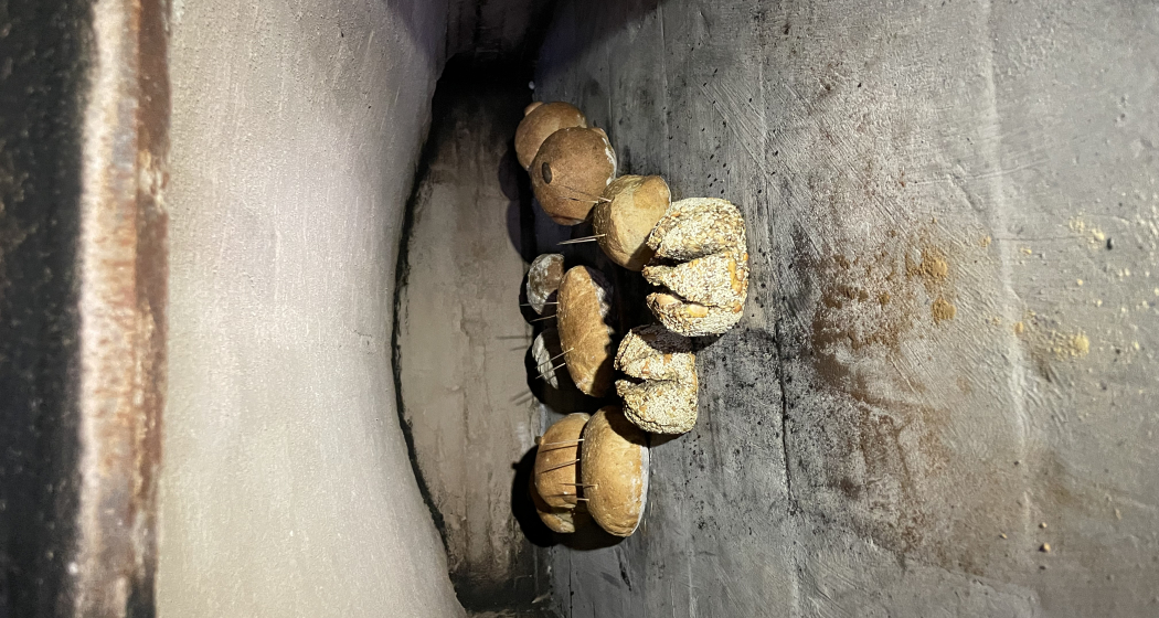 Holzofen Brot backen in Flims Dorf (gdl_732243189_image) Holzofen Brot backen in Flims Dorf (gdl_732243189_image)