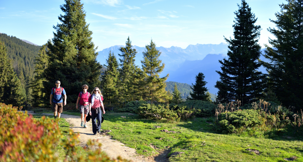 Genusswanderung...mit Pfiff! (gdl_810858735_image) Genusswanderung...mit Pfiff! (gdl_810858735_image)