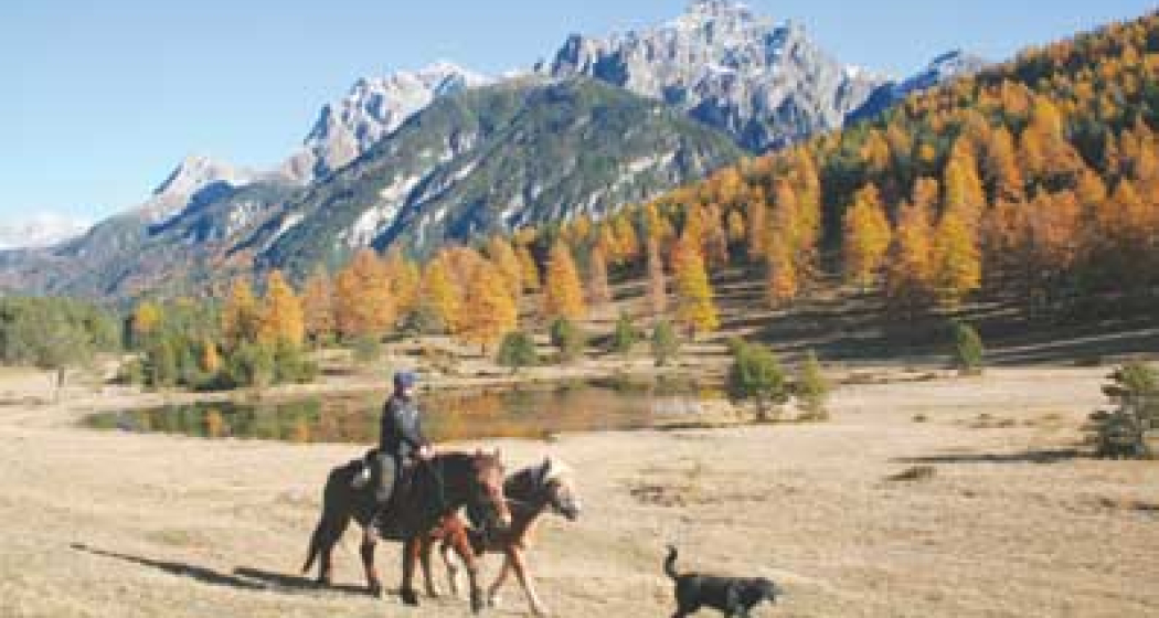 Tagesritt (gdl_810859274_image) Tagesritt (gdl_810859274_image)