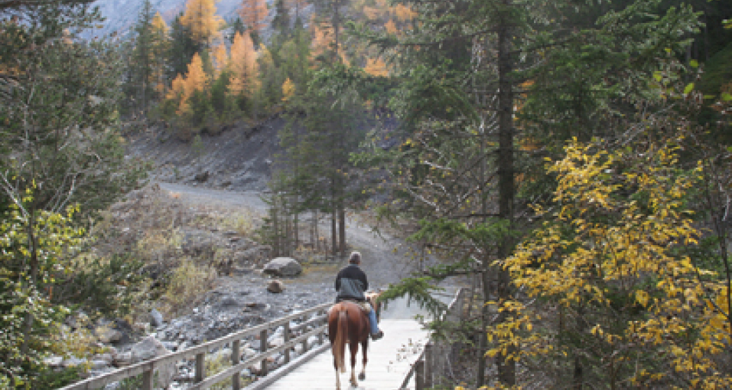 Tagesritt (gdl_810859633_image) Tagesritt (gdl_810859633_image)