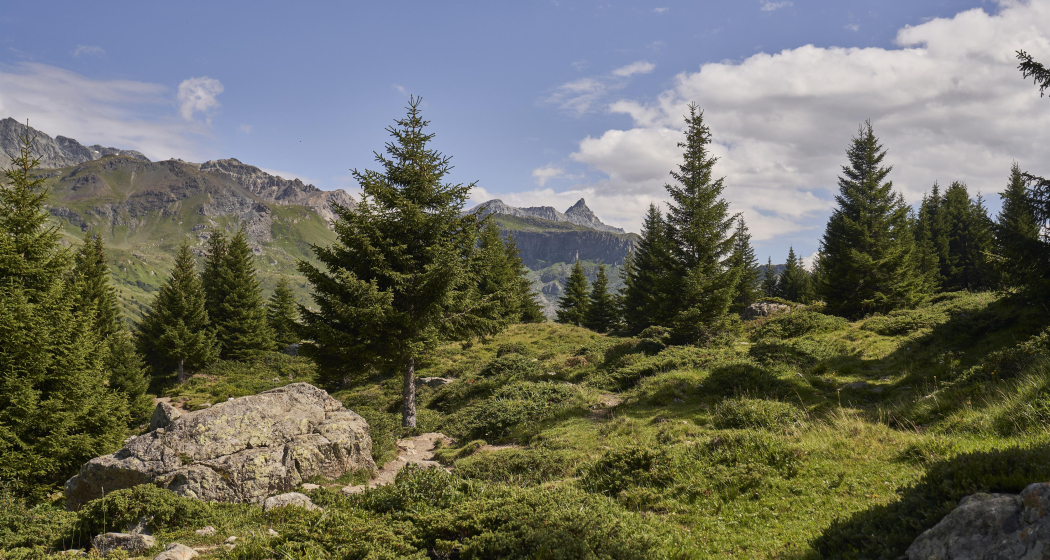 Wandererlebnis mit Ziegenalp-Besuch (gdl_859926720_image) Wandererlebnis mit Ziegenalp-Besuch (gdl_859926720_image)