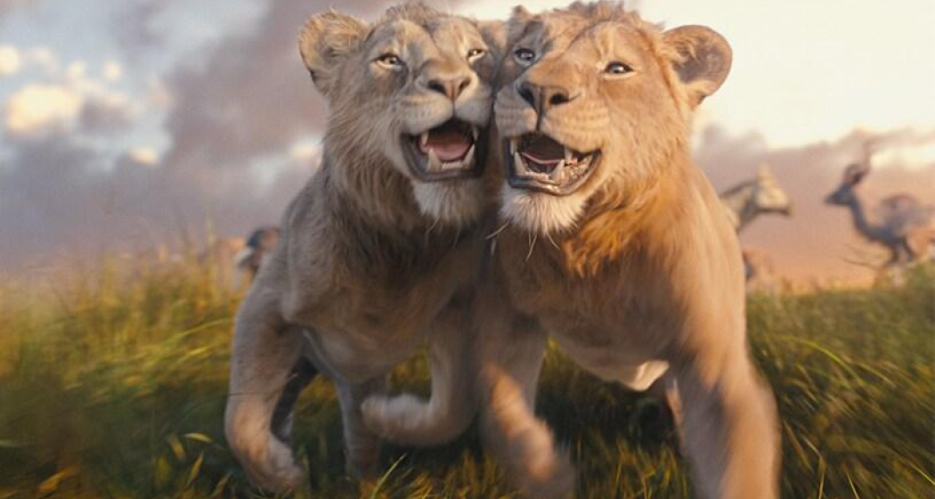 Openair-Kino 2025: Mufasa – der König der Löwen (gdl_861159110_image) Openair-Kino 2025: Mufasa – der König der Löwen (gdl_861159110_image)