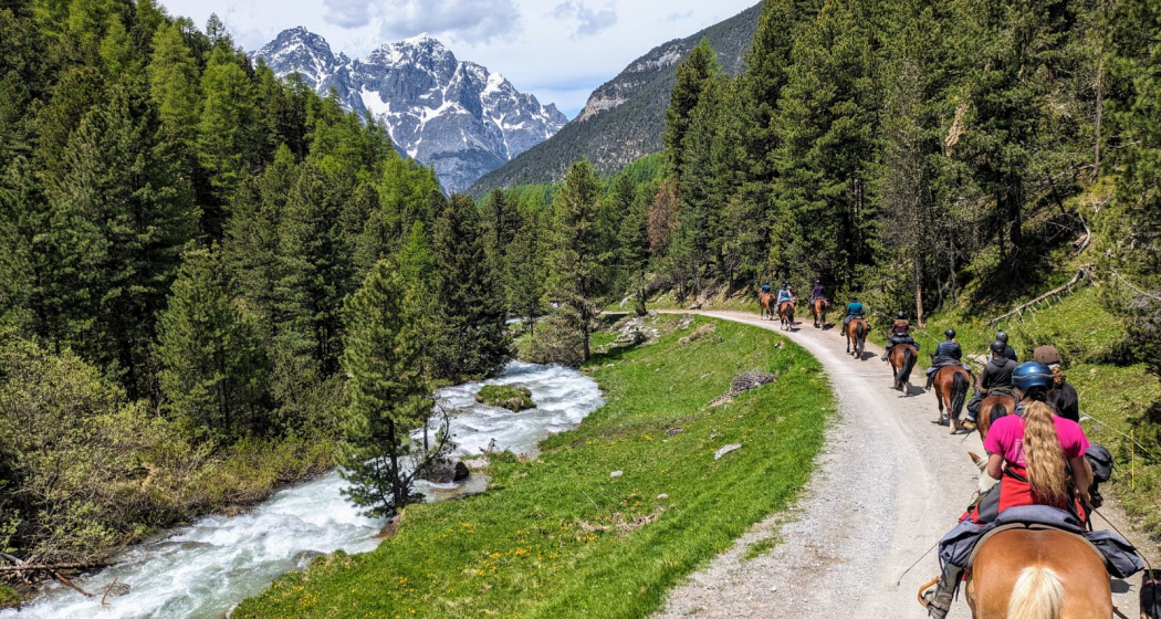 Packkurs mit Packsattel und Westernsattel (gdl_862298159_image) Packkurs mit Packsattel und Westernsattel (gdl_862298159_image)