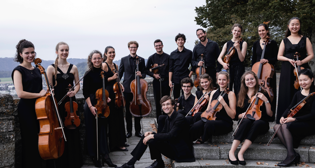 resonart camerata (gdl_865226386_image) resonart camerata (gdl_865226386_image)