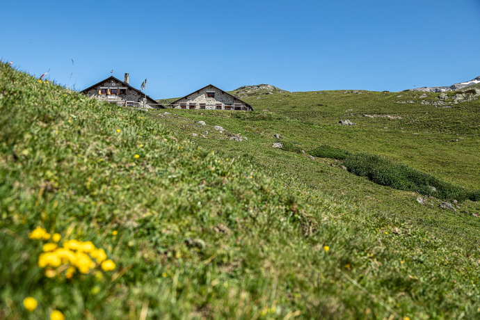 Alp Laret, above Ftan Alp Laret, above Ftan