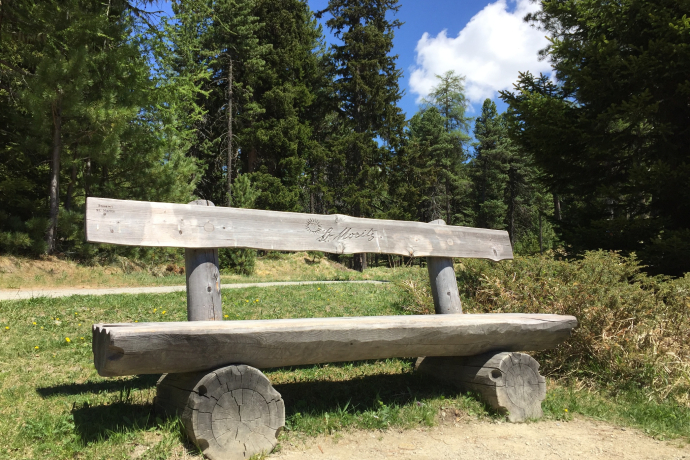 Bench Congiroula (oua_604475432_image) Bench Congiroula (oua_604475432_image)