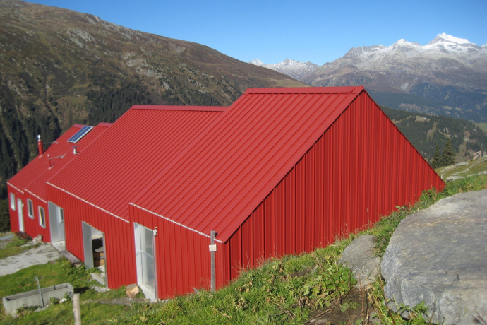 Alp Puzzetta Alp Puzzetta