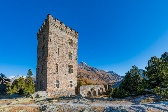 Tower Belvedere (oua_65031253_image) Tower Belvedere (oua_65031253_image)