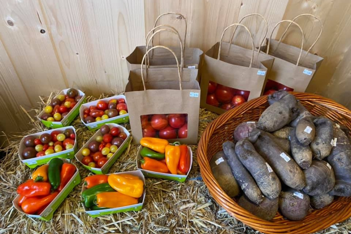 Glennerhof in Castrisch (oua_66235659_image) Glennerhof in Castrisch (oua_66235659_image)