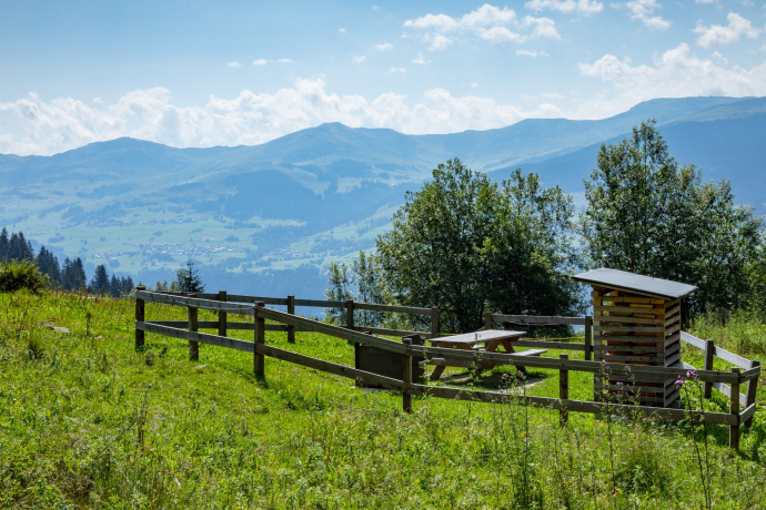 The photo shows the Plaun da Steilas fireplace The photo shows the Plaun da Steilas fireplace